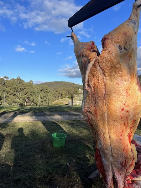 Local Butcher Enhances Business with Tapawasee 2 Technology to Protect Product Quality